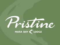 Accomodation